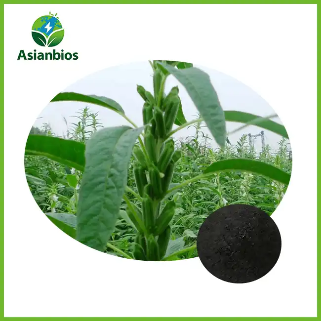 Black Sesame Powder Bulk Black Sesame Powder Bulk
